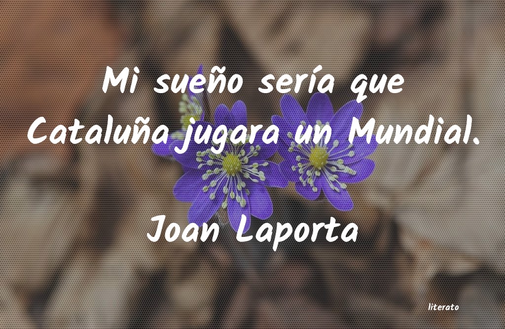 Frases de Joan Laporta