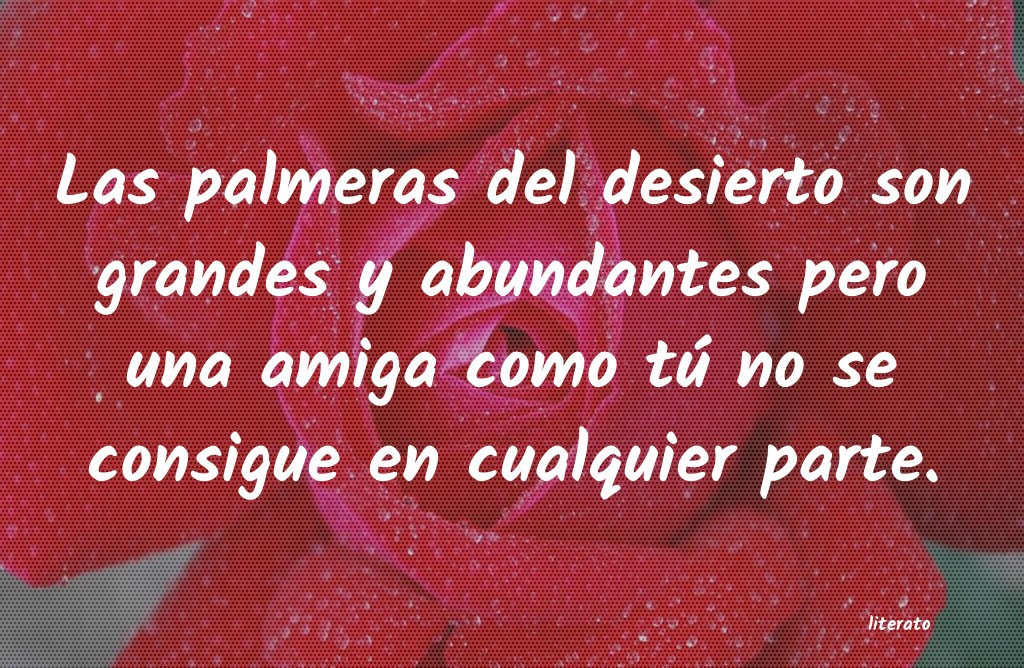 frase como amiga tengo defectos pero como enemiga