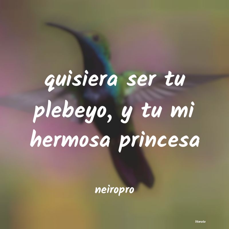 Frases para una princesa - Literato (2)