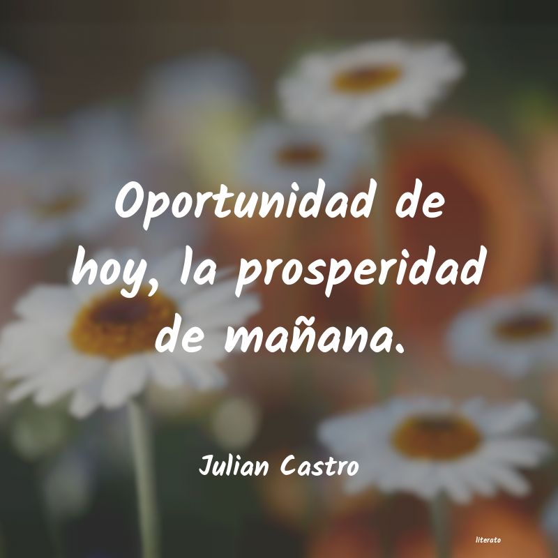frases de Julian Castro