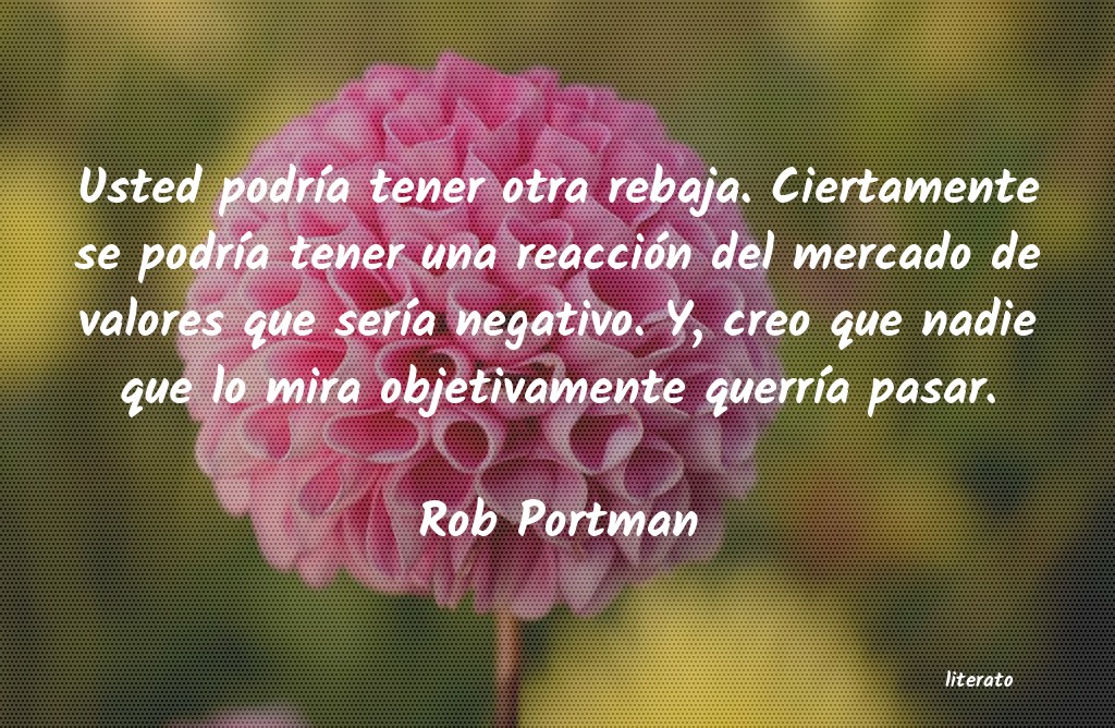 Frases de Rob Portman