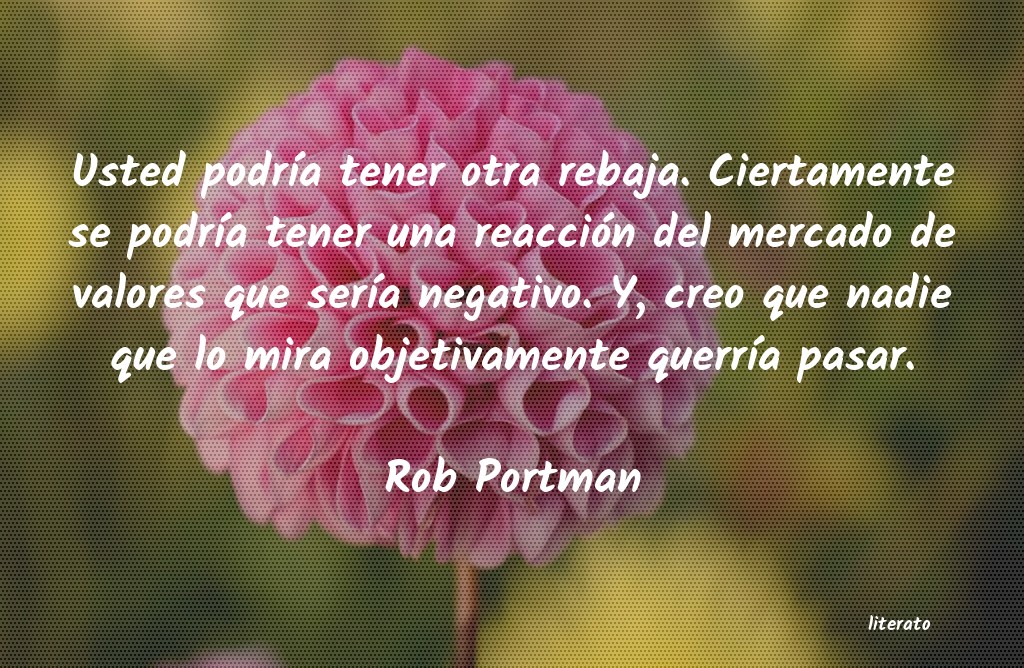 frases de Rob Portman