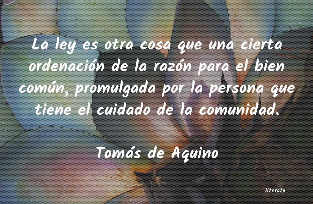 Frases de Tomás de Aquino