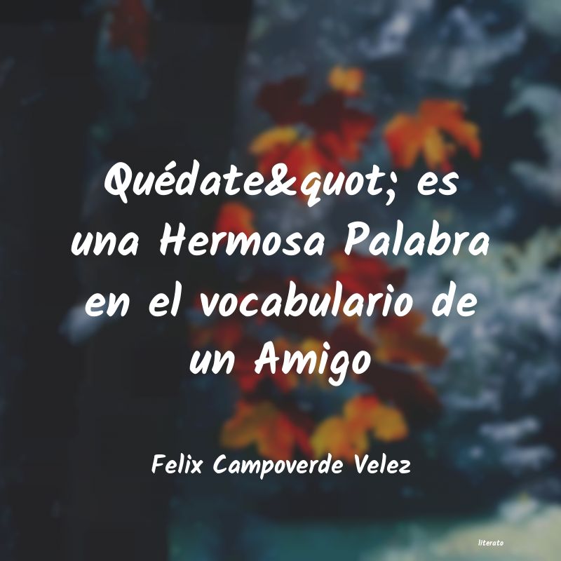 frases de Felix Campoverde Velez