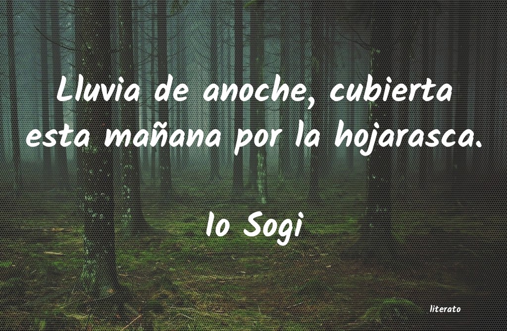 frases de Io Sogi