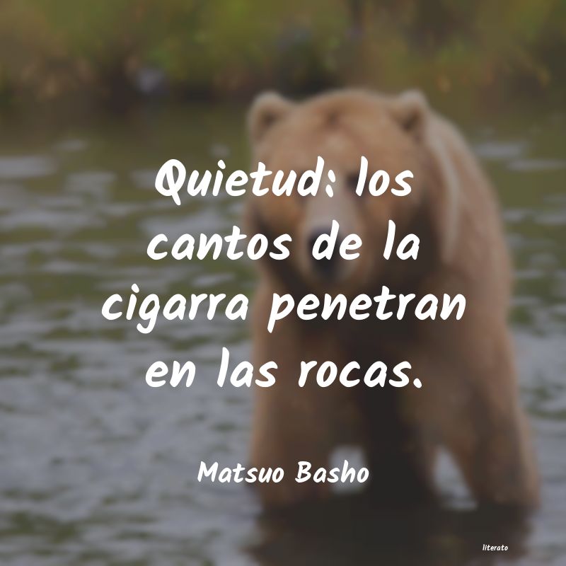 Frases de Matsuo Basho