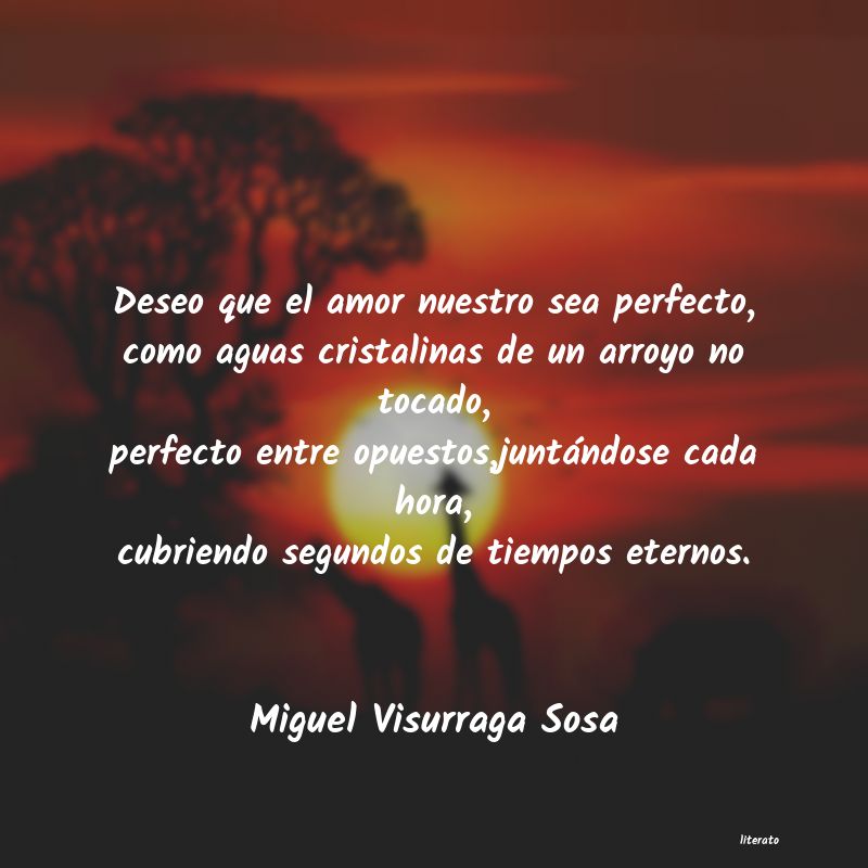 Frases de Miguel Visurraga Sosa