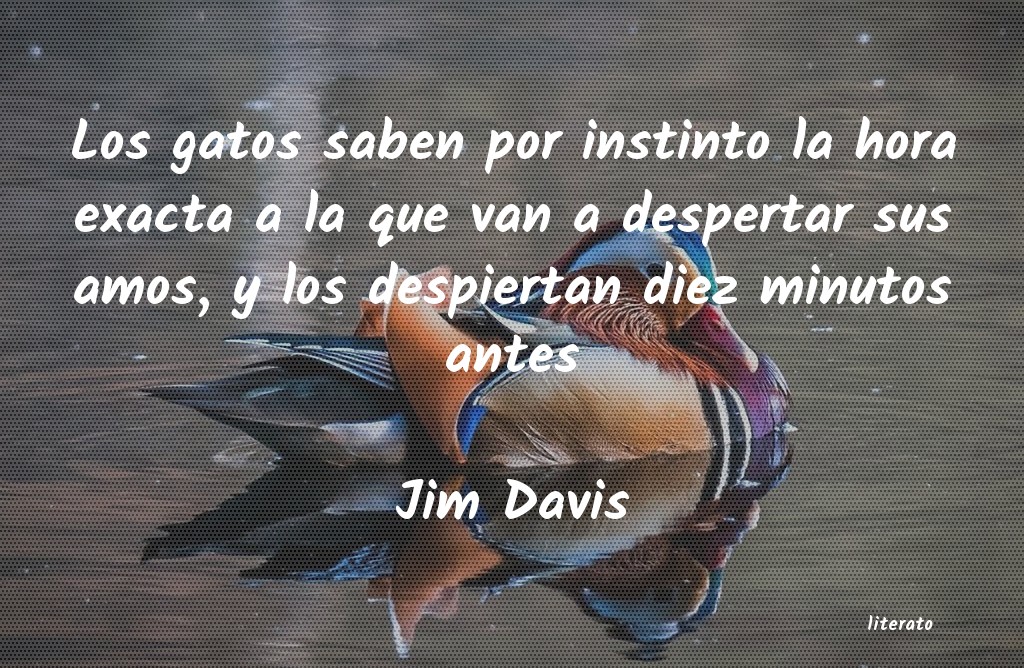 Frases de Jim Davis