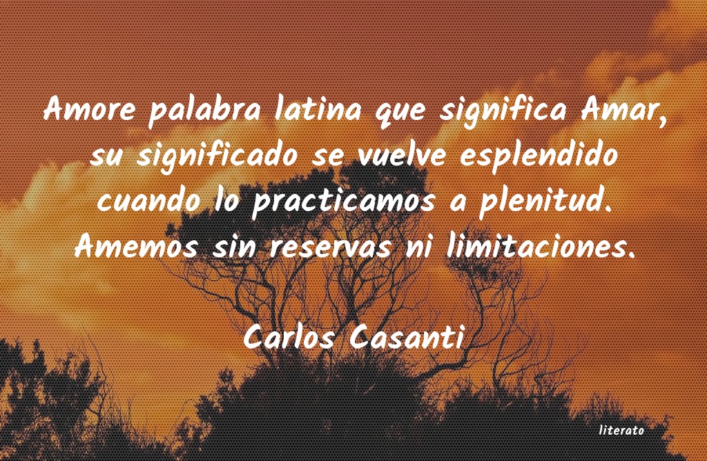 Frases de Carlos Casanti