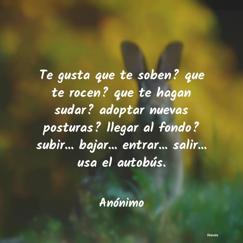frases