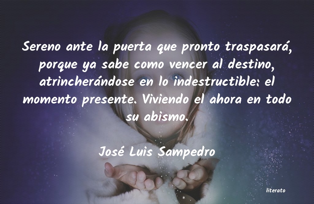 Frases de José Luis Sampedro