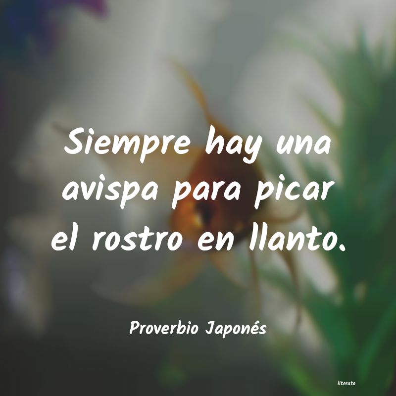frases de Proverbio Japonés