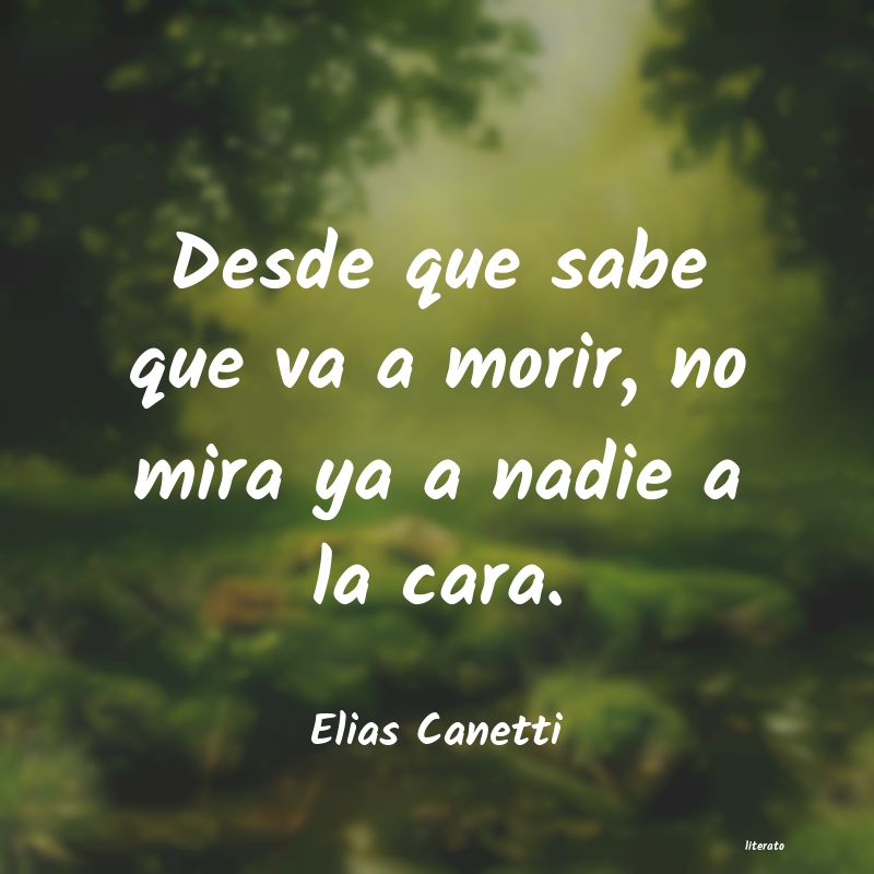 elias canetti conocimiento conocer mejor