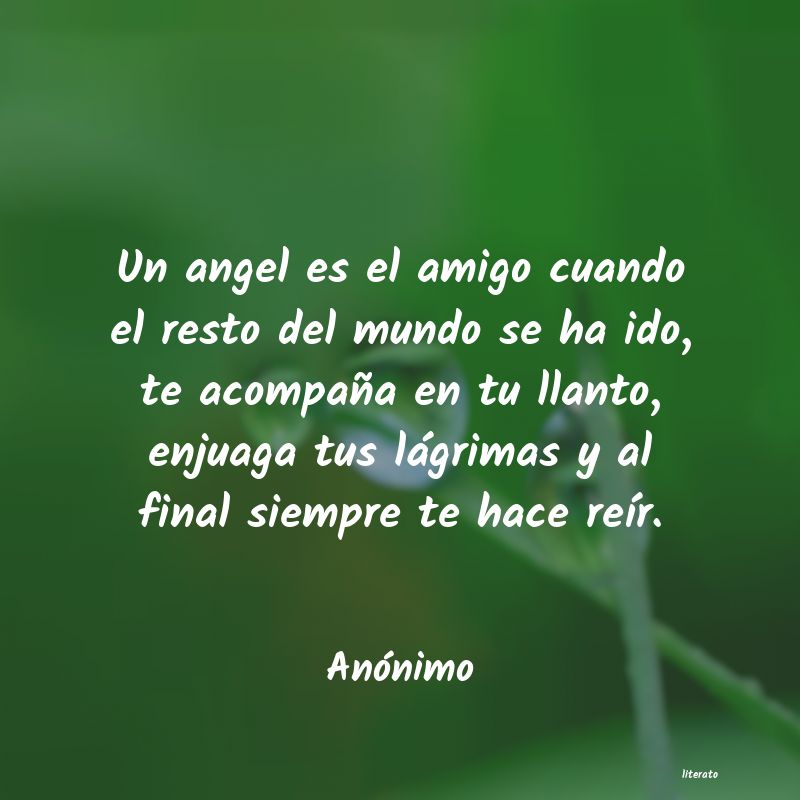 frases