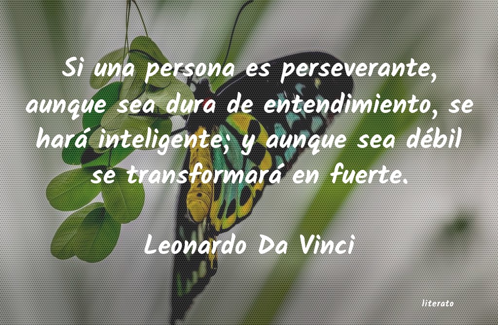 Frases de Leonardo Da Vinci