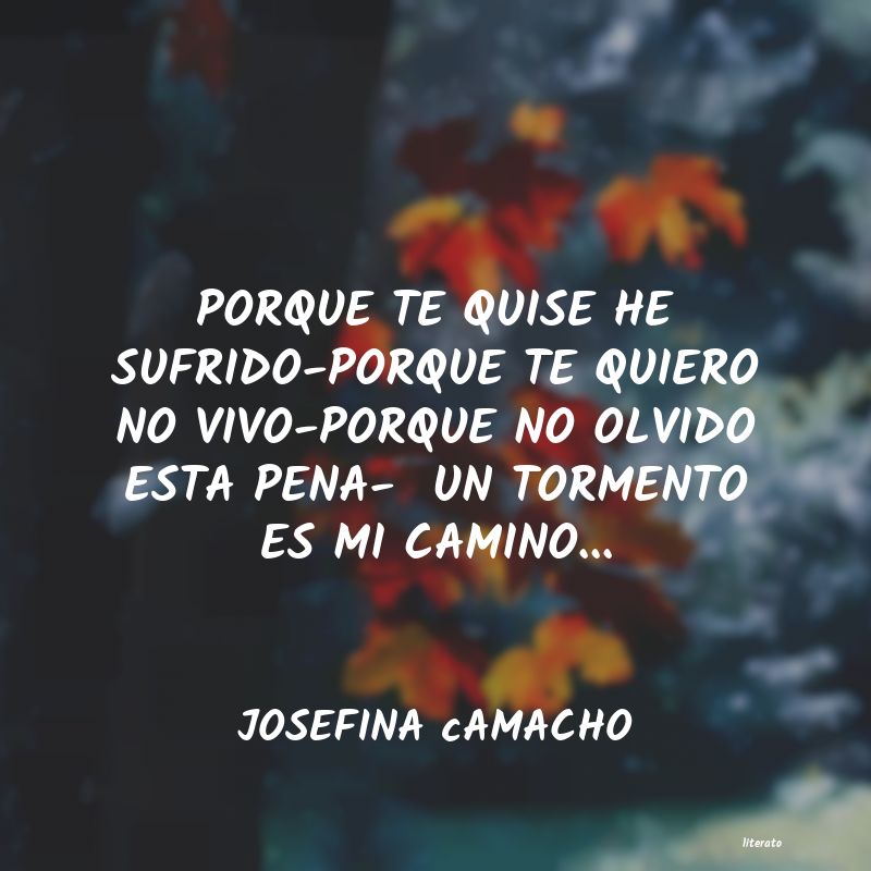 frases de JOSEFINA cAMACHO