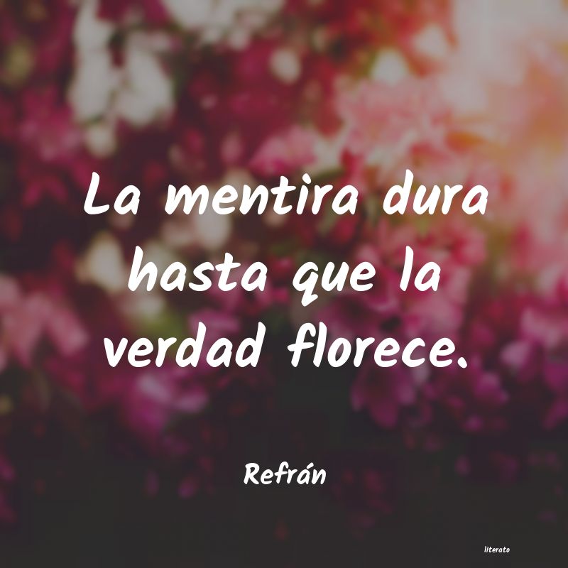 frases de Refrán