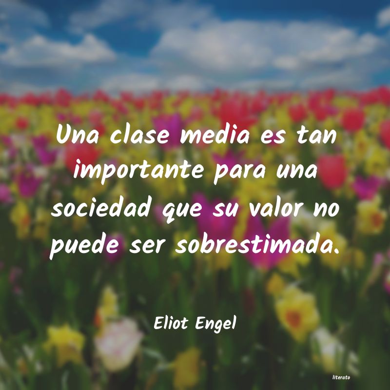 frases de Eliot Engel