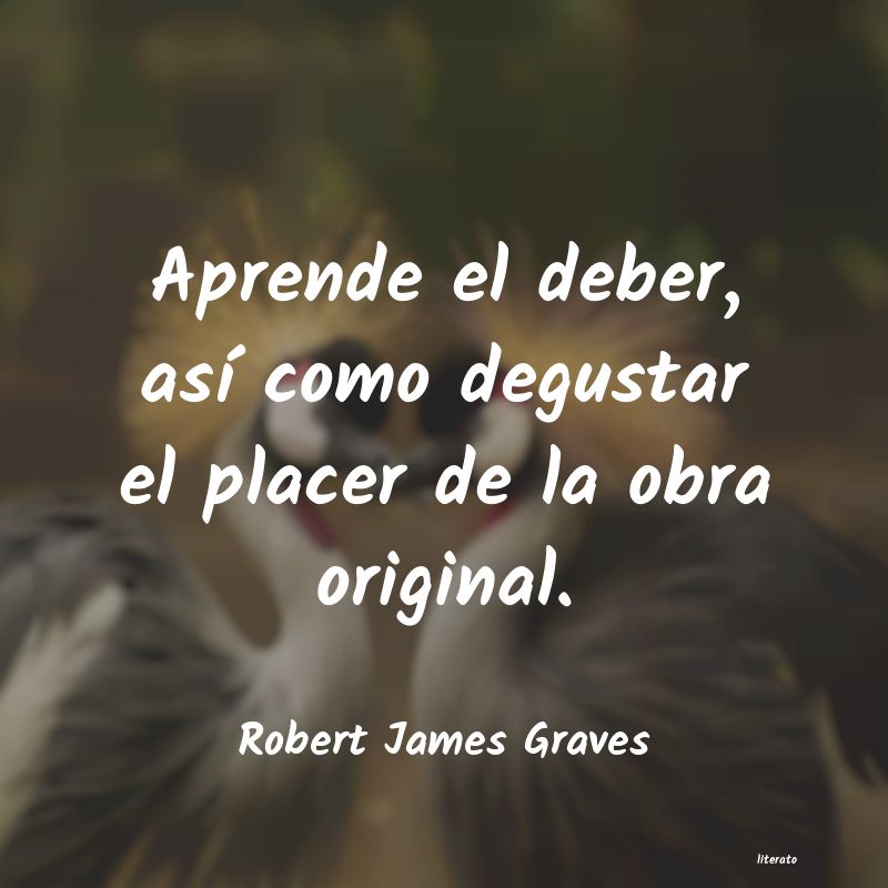 Frases de Robert James Graves