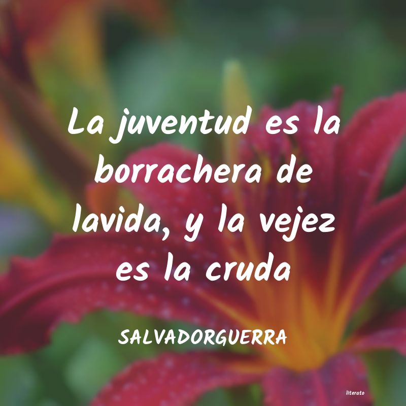 frases de SALVADORGUERRA