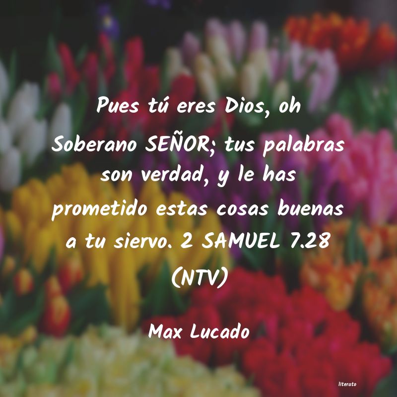 Frases de Max Lucado