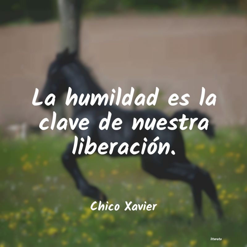 Frases de Chico Xavier