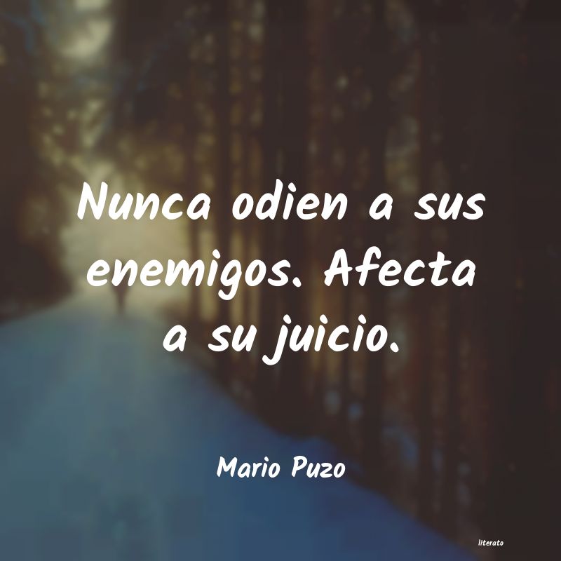 Frases de Mario Puzo