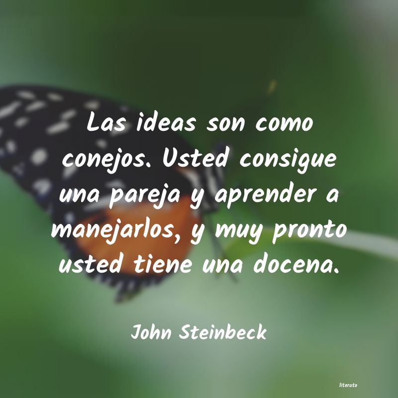 frases de John Steinbeck