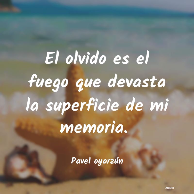frases de Pavel oyarzún