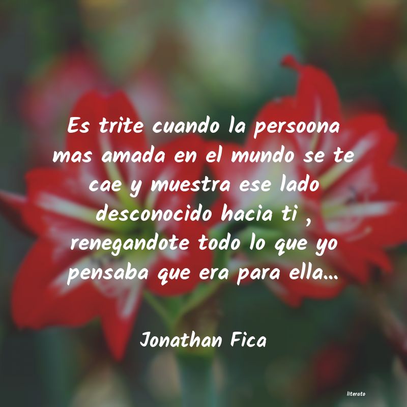frases de Jonathan Fica