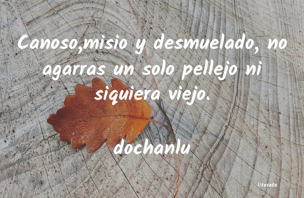 frases de dochanlu