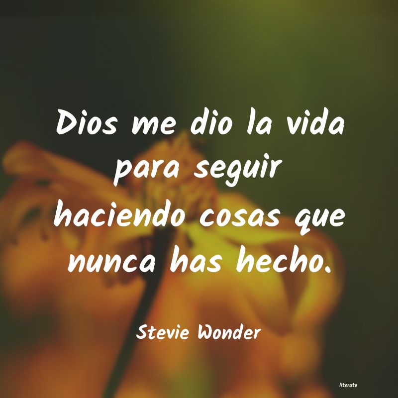 Frases de Stevie Wonder