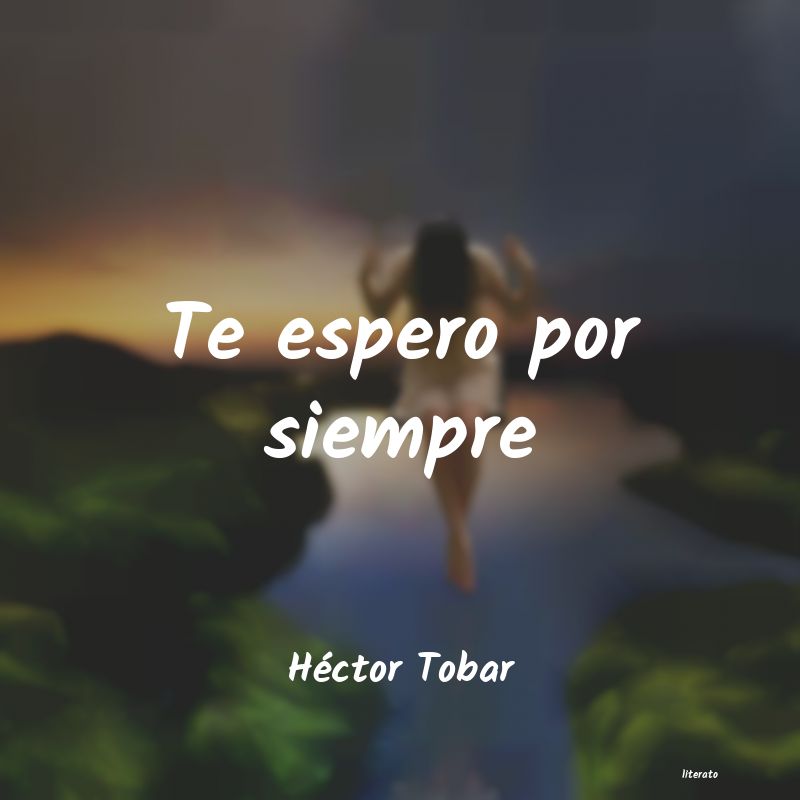 frases de Héctor Tobar