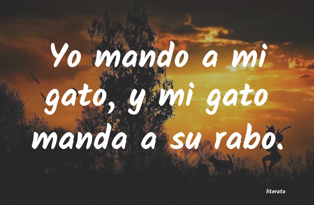 frases