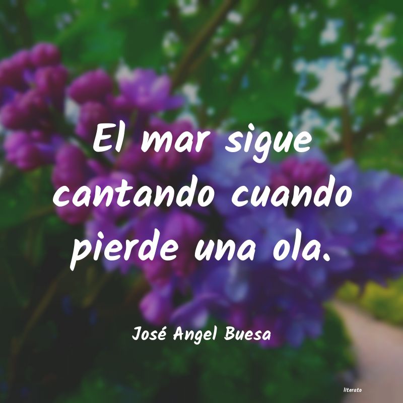 Frases de José Angel Buesa