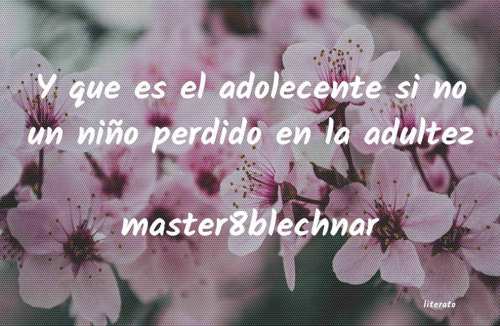 Frases de master8blechnar