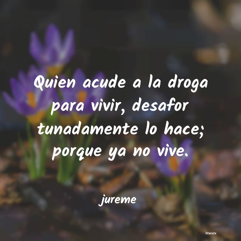 Frases de jureme