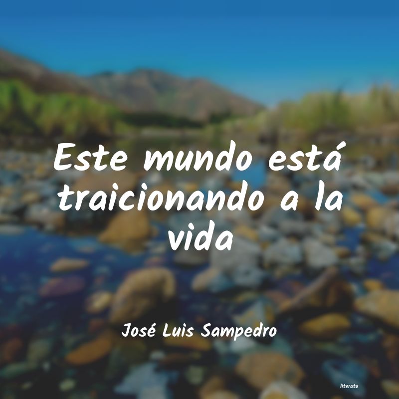 frases de José Luis Sampedro
