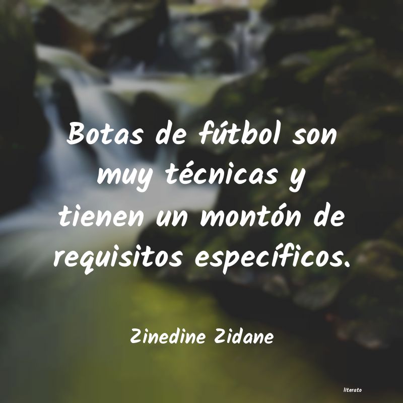 frases de Zinedine Zidane