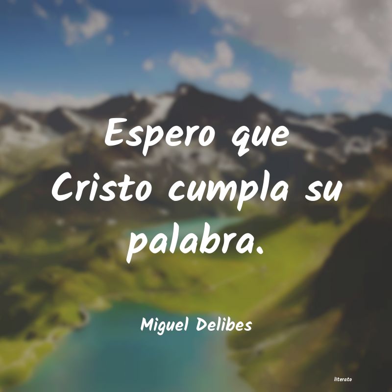 Frases de Miguel Delibes