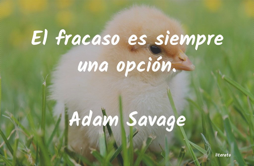 Frases de Adam Savage