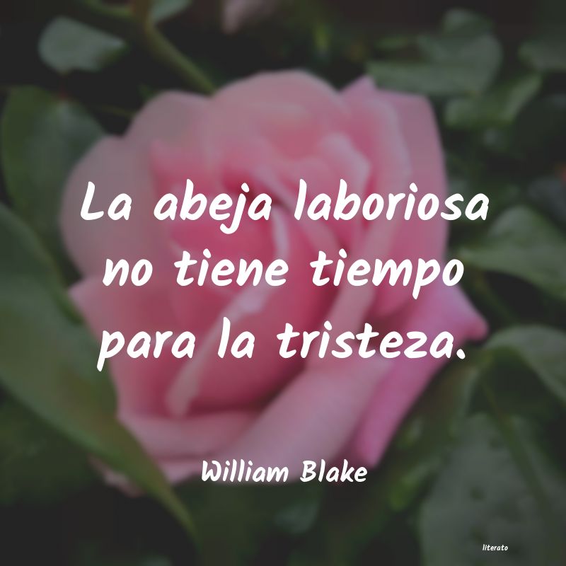 Frases de William Blake