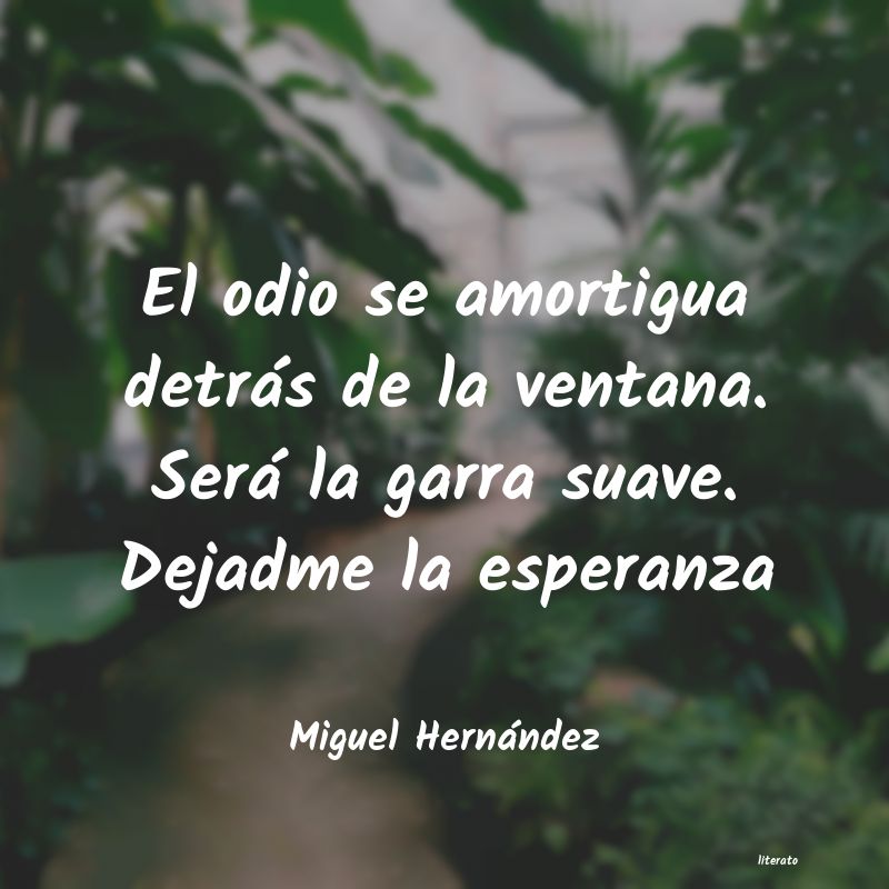 Frases de Miguel Hernández