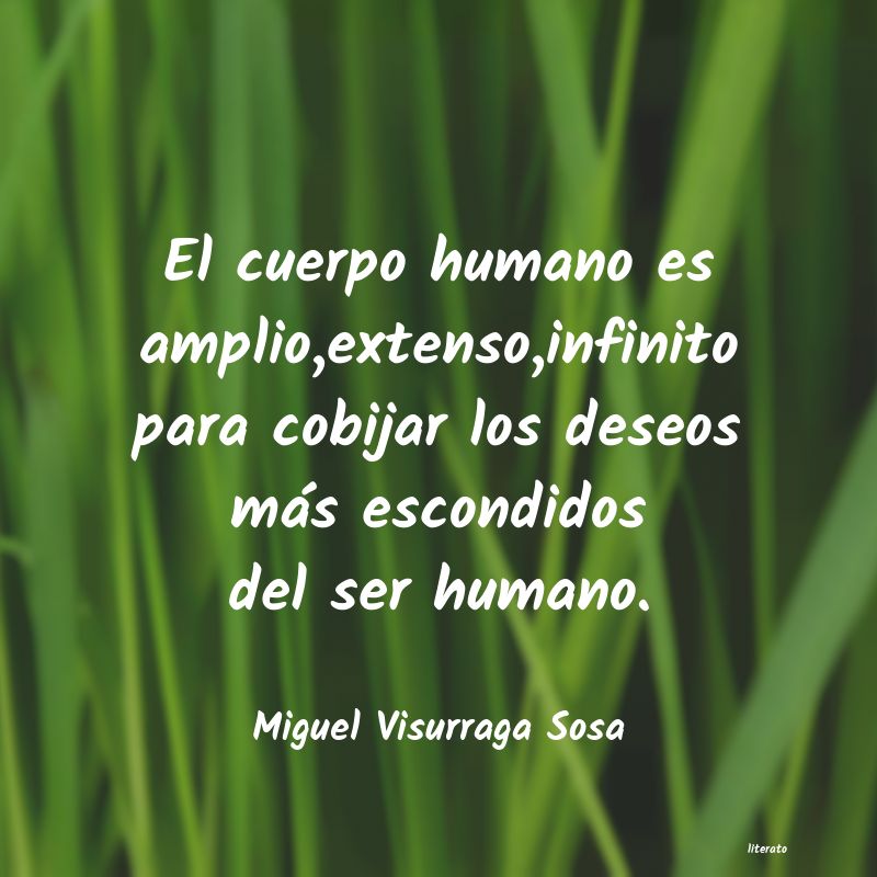 Frases de Miguel Visurraga Sosa