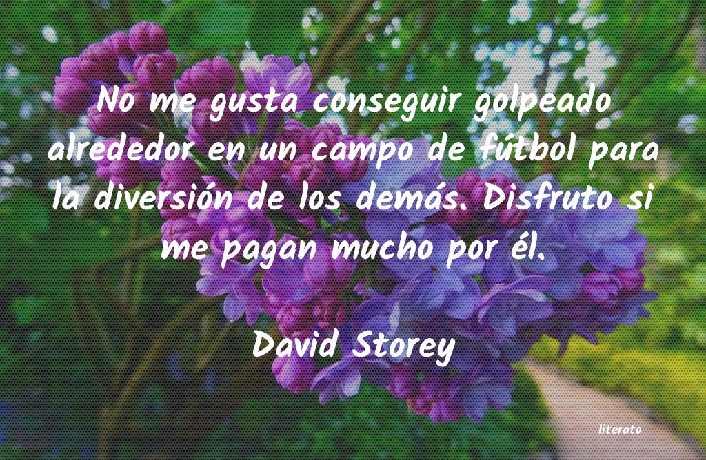 Frases de David Storey