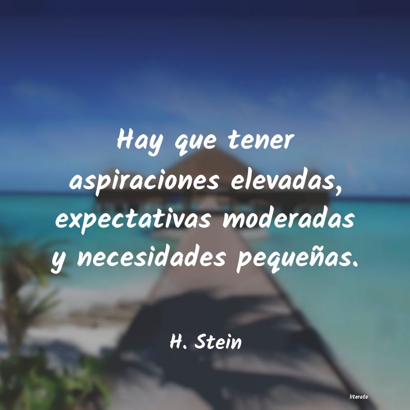 Frases de H. Stein