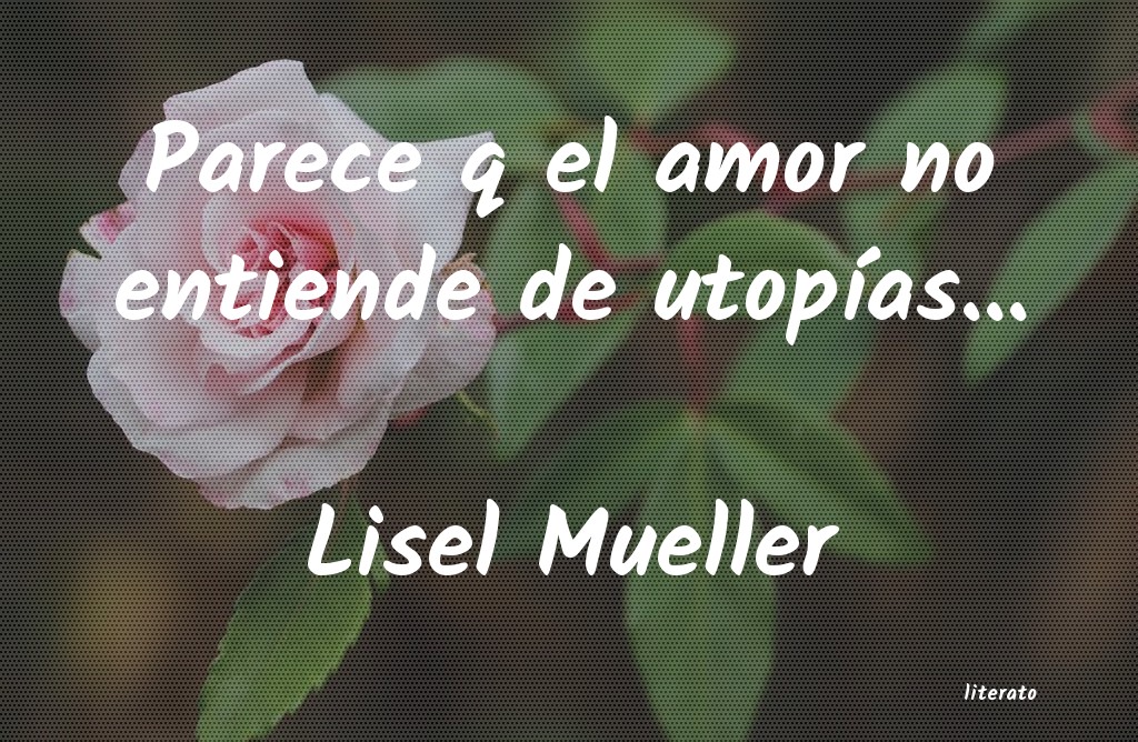 Frases de Lisel Mueller