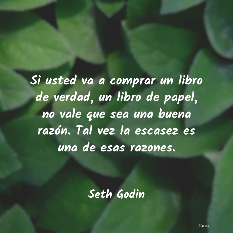 frases de Seth Godin