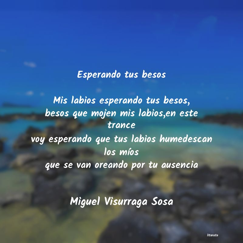frases de Miguel Visurraga Sosa