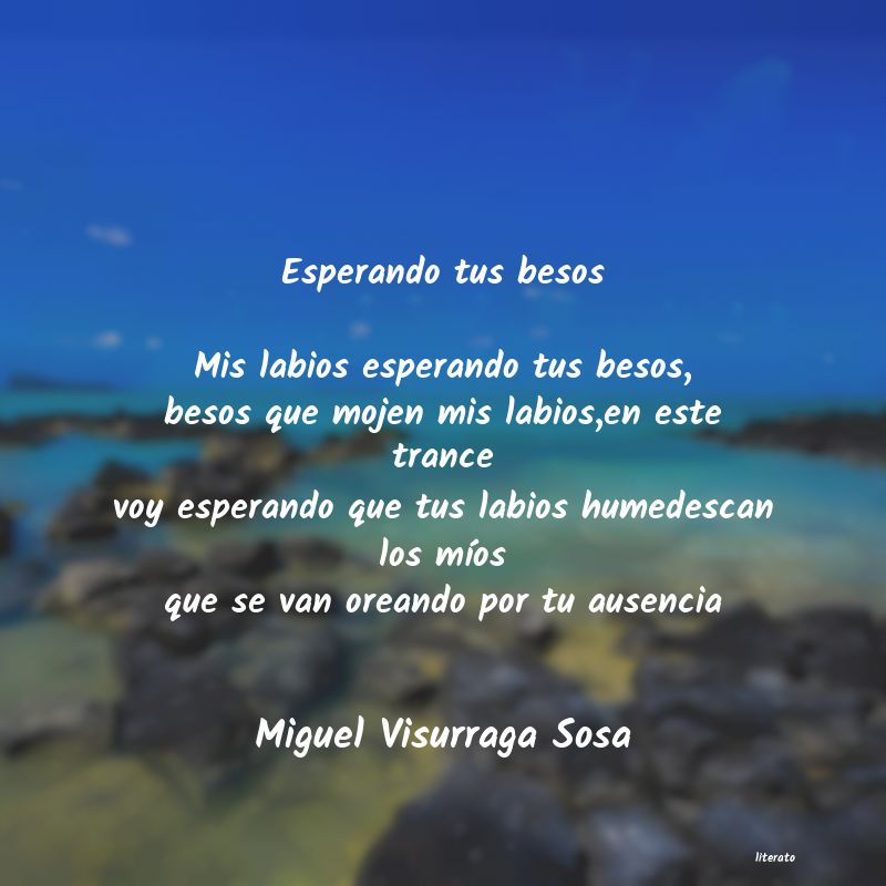 Frases de Miguel Visurraga Sosa